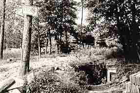 eingang.jpg (47338 Byte) eingang.jpg (47338 Byte)